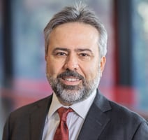 Prof Ismet Canbulat